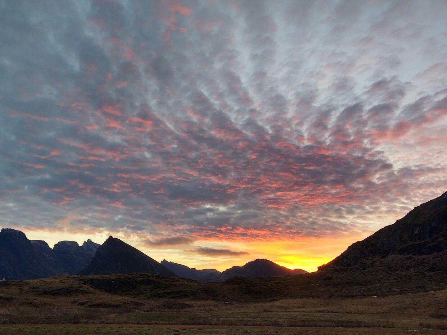 Fredvang Farm House - Lofoten Ngoại thất bức ảnh